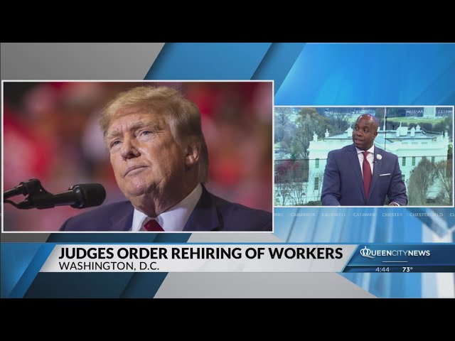 Judges order Trump administration to rehire probationary workers