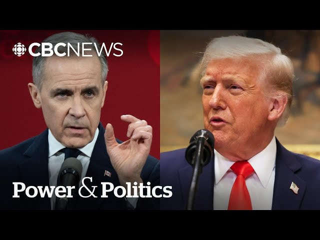 51st-state comments ‘crazy,’ says PM Carney as Canada fights off tariff threats | Power & Politi