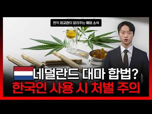 ⁣네덜란드 대마 섭취·흡입 주의 [해외안전여행정보] / YTN korean