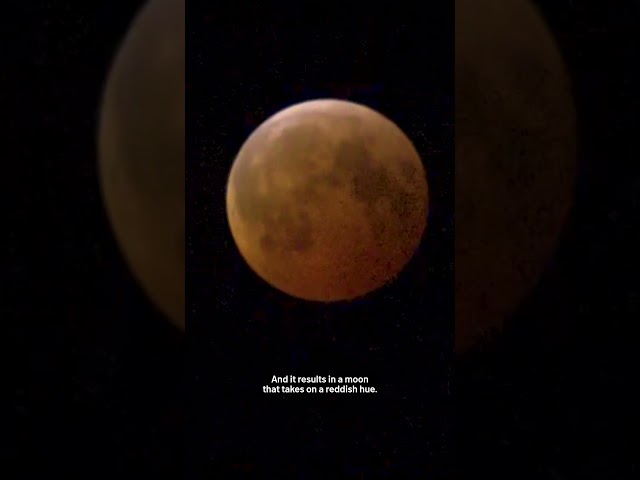 ⁣Did you catch it? Rare blood moon lit up Chicago night sky