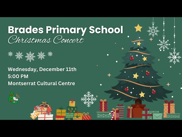 Brades Primary School 2024 Christmas Concert