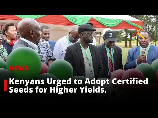 Kenyans Urged to Adopt Certified Seeds for Higher Yields and Income.