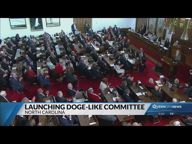 NC version of DOGE launched with bipartisan makeup