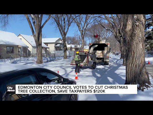 ⁣Edmonton city council votes to cut Christmas tree collection