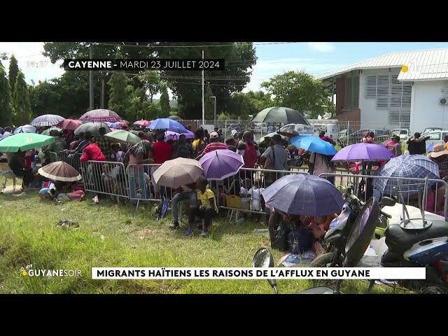 ⁣Immigration haïtienne : les raisons de l'afflux en Guyane