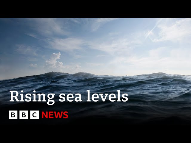 ⁣Sea levels rose more than expected in 2024 | BBC News