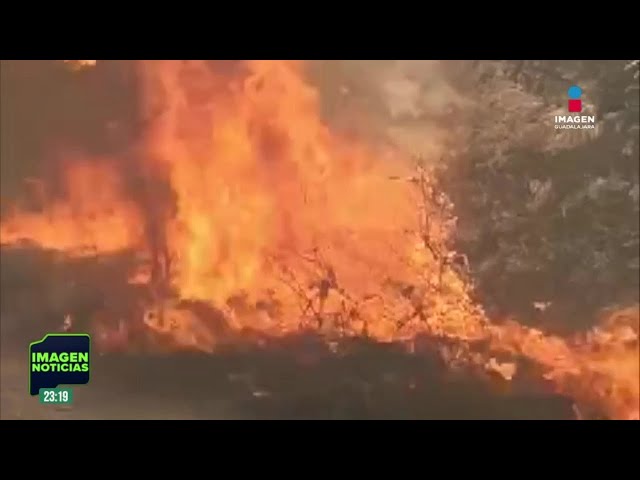 Fuego consume parte del Bosque Pedagógico de Colomos III | Noticias GDL con Rey Suárez