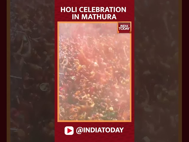 ⁣Holi Celebration In Mathura | #holi2025 #holicelebrations #holi #holivibes #mathura | India Today