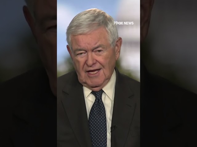 ⁣Newt Gingrich says GOP unity is 'encouraging' for future