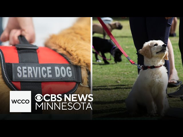 ⁣A new facility in Minnesota aims to keep dogs happy and healthy