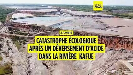 ⁣Zambie : catastrophe écologique  après un déversement d’acide dans la rivière  Kafue