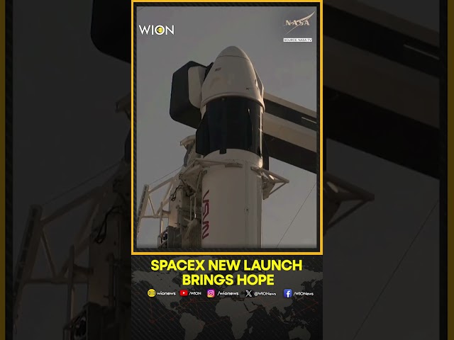 ⁣Stuck NASA Astronauts One Step Closer To Home After SpaceX Crew-swap Launch | WION Shorts