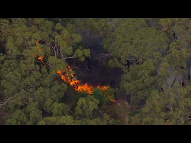 Watch and Act warning issued as bushfire burns out-of-control near homes in Melbourne's east