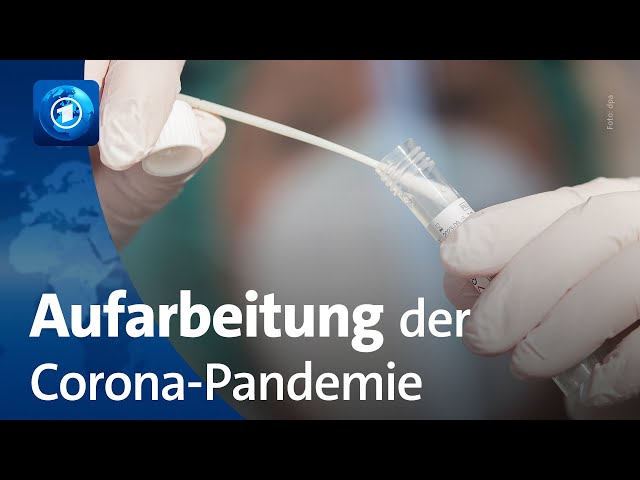 ⁣Corona-Aufarbeitung: Wie Expert:innen die Pandemie heute einschätzen