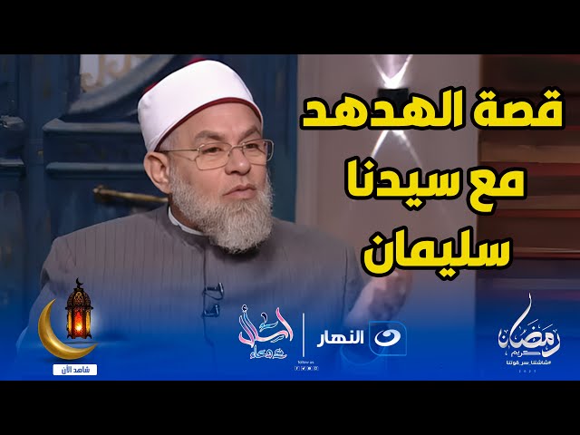 قصة الهدهد مع سيدنا سليمان عليه السلام  والحكمة من الابتلاء وثواب الصبر عليه