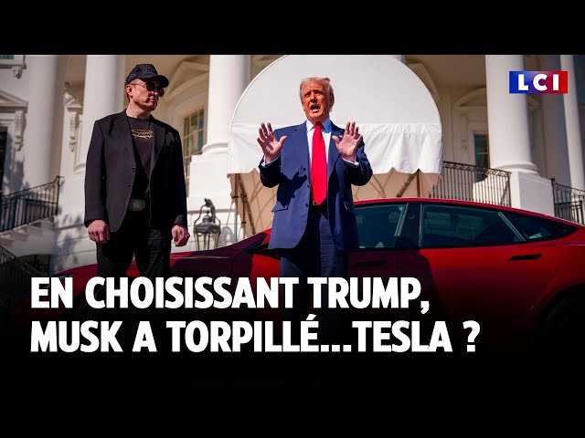 ⁣En choisissant Trump, Musk a-t-il torpillé Tesla ?｜LCI