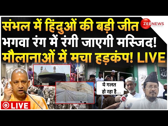 ⁣Big Victory Of Hindus In Sambhal Masjid LIVE:संभल में हिंदुओं की जीत,भगवा रंग में रंगी जाएगी मस्जिद!