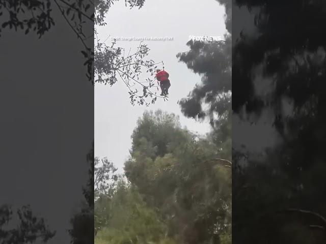 Crews rescue CA man clinging to tree from fast-rising floodwaters