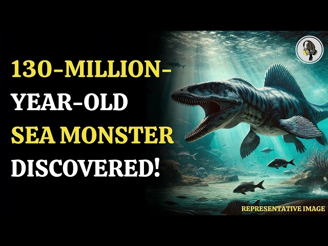 Kyhytysuka: The 130-Million-Year-Old Sea Predator Unearthed | Wion Podcast