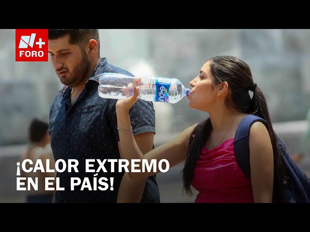 ⁣Ola de calor impacta varias regiones del país a pocos días de la primavera - Sábados de N+ FORO