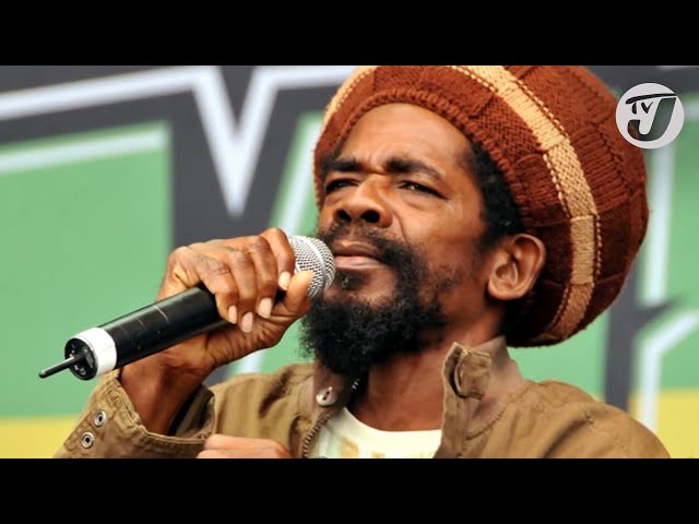 Cocoa Tea Described as a No-nonsense Performer who Set a Standard and Stuck to it.