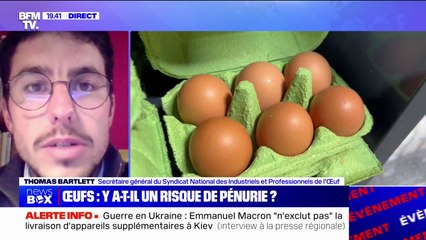 ⁣Y a-t-il un risque de pénurie d'œufs?