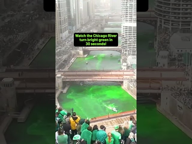 ⁣Watch the Chicago River turn BRIGHT GREEN in 30 seconds! (TIMELAPSE)