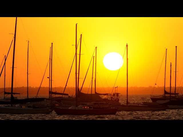 Sydneysiders to see climbing temperatures amid heatwave warning