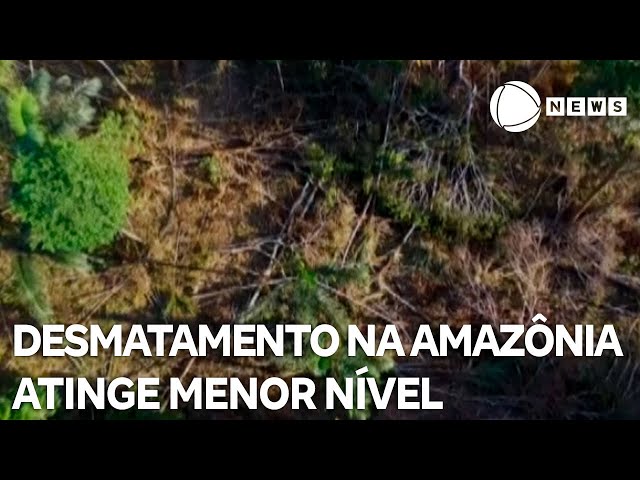 ⁣Desmatamento na Amazônia atinge menor nível histórico para fevereiro