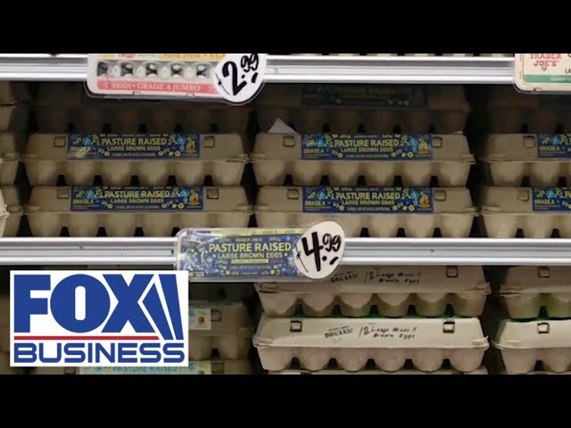 ⁣CONSPIRACY: DOJ investigates potential egg price fixing