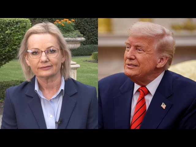 ‘Bitterly disappointed’: Sussan Ley reacts to Trump’s tariffs on Australia