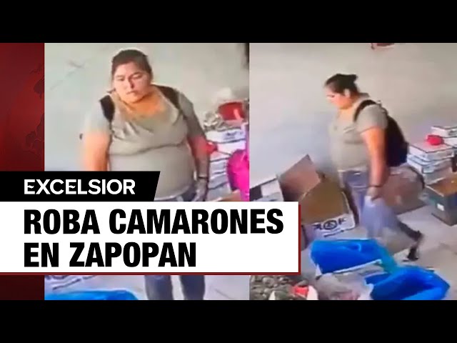 Camarón que se duerme... ¡se lo llevan! Mujer roba bolsa de camarones en Zapopan