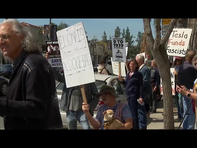 ⁣DOGE Protests continue at Tesla dealerships