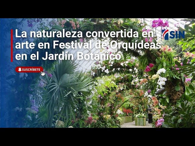 ⁣La naturaleza convertida en arte en Festival de Orquídeas | SIN Fin de Semana: 15/03/2025