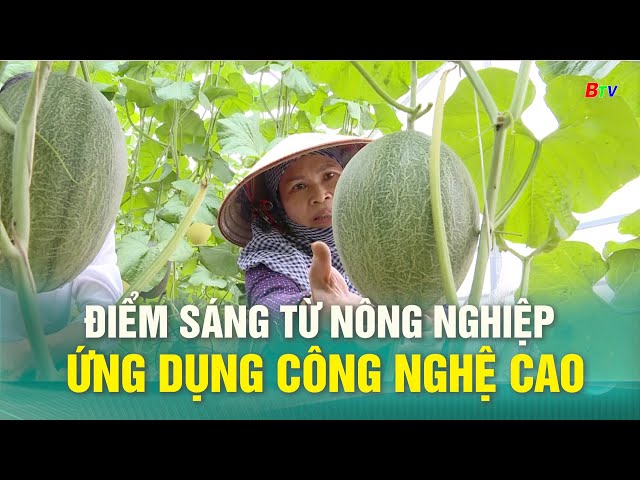 Điểm sáng từ nông nghiệp ứng dụng công nghệ cao  | BTV - TRUYỀN HÌNH BÌNH DƯƠNG