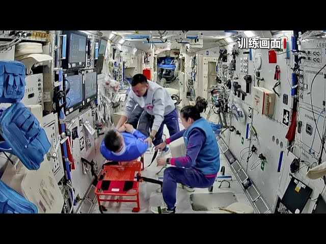 Shenzhou-19 crew conducts wide range of scientific experiments