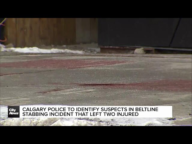 Calgary Police seek public’s help to identify suspects in Beltline stabbing