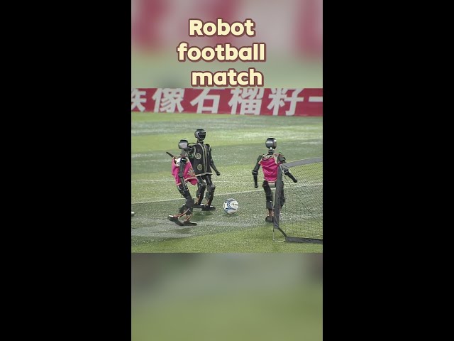 ⁣Robot football match debuts at China's Village Super League