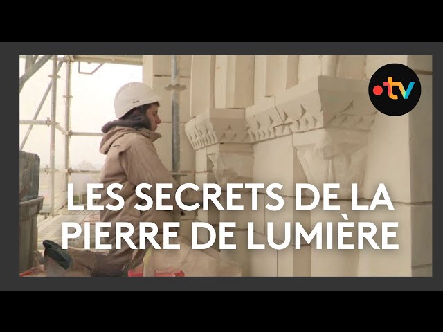 Pierre de lumière, le Tuffeau a permis d’édifier les châteaux de la Loire