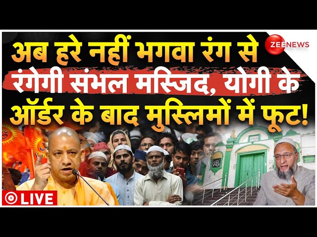 ⁣Sambhal Jama Masjid Big News LIVE: भगवा रंग में रंगी जाएगी मस्जिद! | Muslism | Owaisi VS Yogi