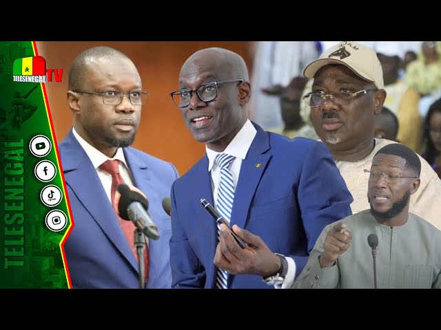 ⁣Yarga Sy de Pastef démonte Thierno Sall "Sonko dou mom, Farba toumal nako té wedou wouko, na no