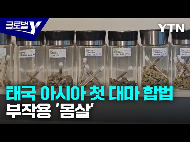 아시아 최초 대마 합법 태국…중독 문제 확산에  '골머리' / YTN korean