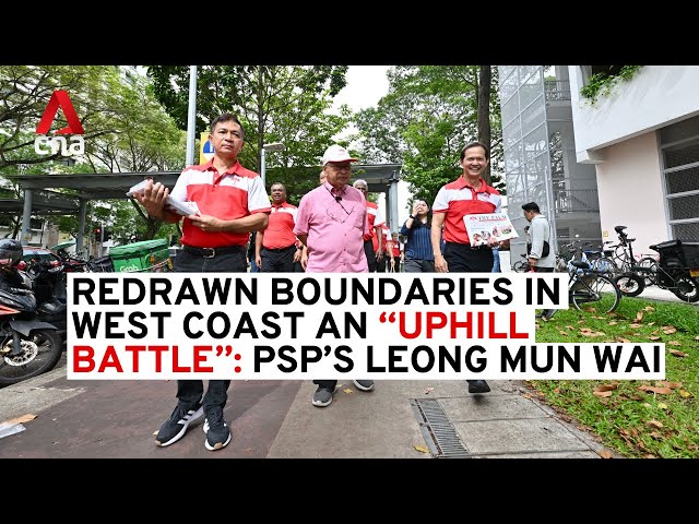 ⁣GE2025: Progress Singapore Party on redrawn boundaries in West Coast | Full interview