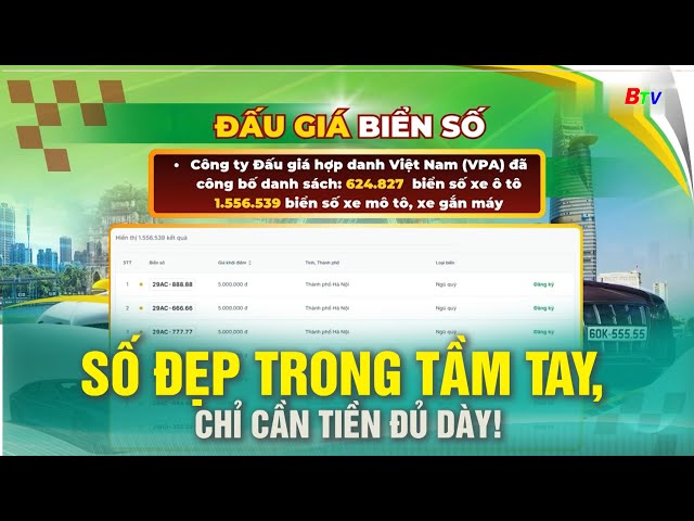 Số đẹp trong tầm tay, chỉ cần tiền đủ dày! | BTV - TRUYỀN HÌNH BÌNH DƯƠNG