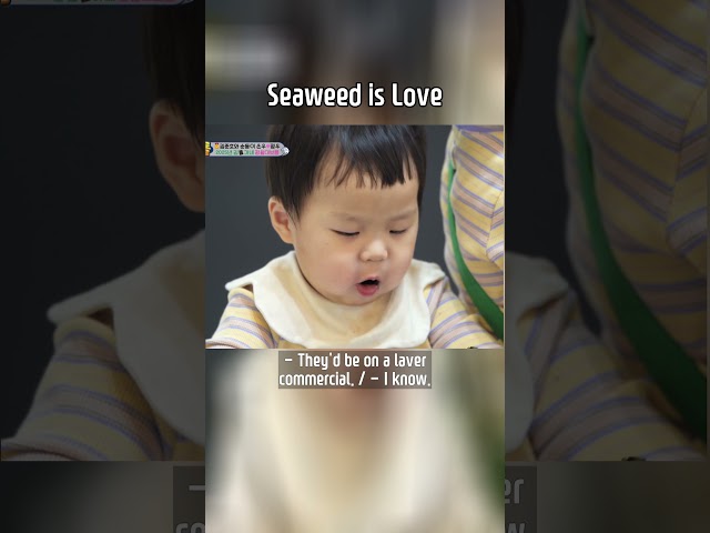 Seaweed is Love #TheReturnofSuperman | KBS WORLD TV