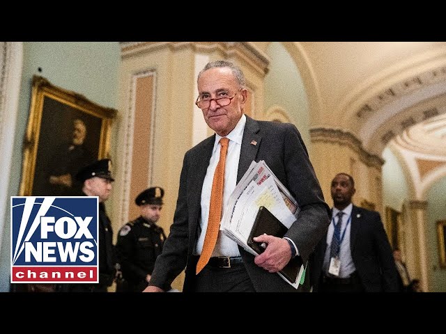 ⁣Schumer faces calls to step down after 'surrendering' to Republicans