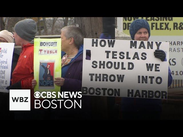 ⁣Protesters want Tesla owners to get rid of cars and other top stories