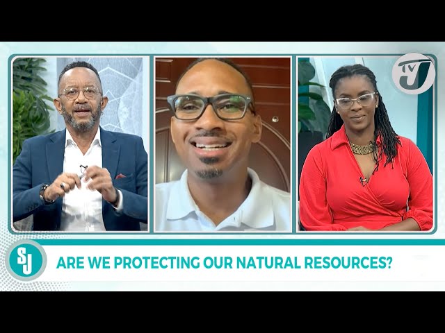 ⁣Are we Protecting our Natural Resources? | TVJ Smile Jamaica