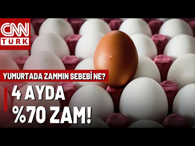 ⁣Yumurtaya %70 Zammın Arkasında Ne Var? Yumurta Fiyatları Neden Artıyor?