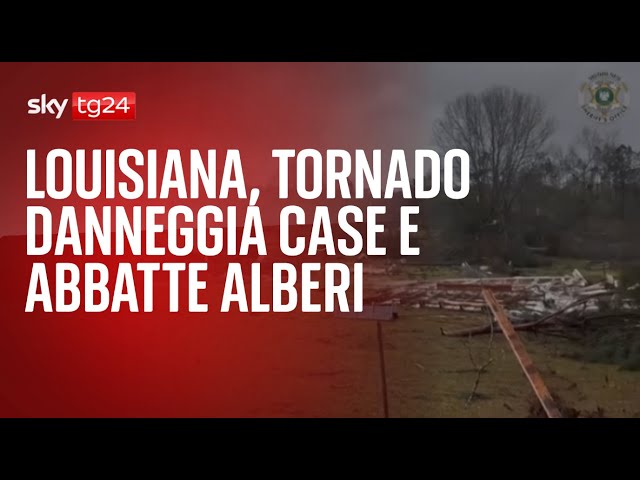 Louisiana, tornado danneggia case e abbatte alberi